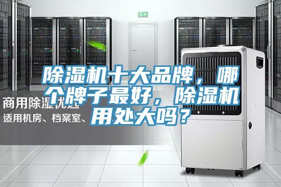 除濕機(jī)十大品牌，哪個(gè)牌子最好，除濕機(jī)用處大嗎？
