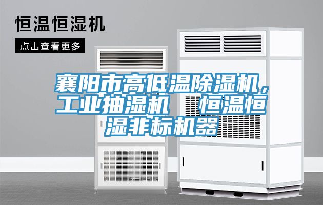 襄陽市高低溫除濕機，工業(yè)抽濕機  恒溫恒濕非標機器