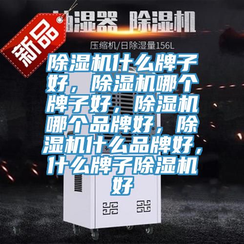 除濕機什么牌子好，除濕機哪個牌子好，除濕機哪個品牌好，除濕機什么品牌好，什么牌子除濕機好