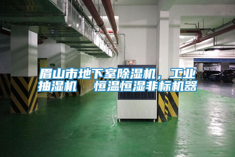 眉山市地下室除濕機(jī)，工業(yè)抽濕機(jī)  恒溫恒濕非標(biāo)機(jī)器