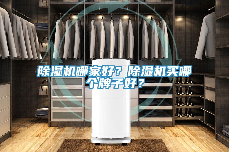 除濕機(jī)哪家好？除濕機(jī)買哪個(gè)牌子好？