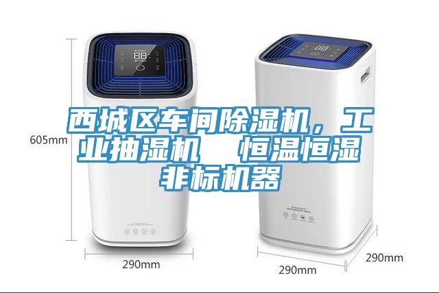 西城區(qū)車間除濕機，工業(yè)抽濕機  恒溫恒濕非標機器