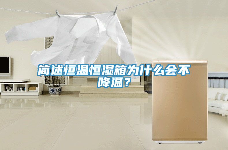 簡述恒溫恒濕箱為什么會不降溫？