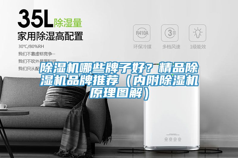 除濕機哪些牌子好？精品除濕機品牌推薦（內(nèi)附除濕機原理圖解）
