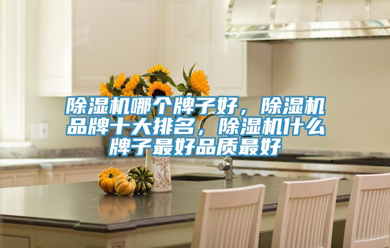 除濕機(jī)哪個(gè)牌子好，除濕機(jī)品牌十大排名，除濕機(jī)什么牌子最好品質(zhì)最好