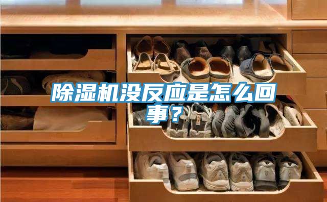 除濕機(jī)沒反應(yīng)是怎么回事？