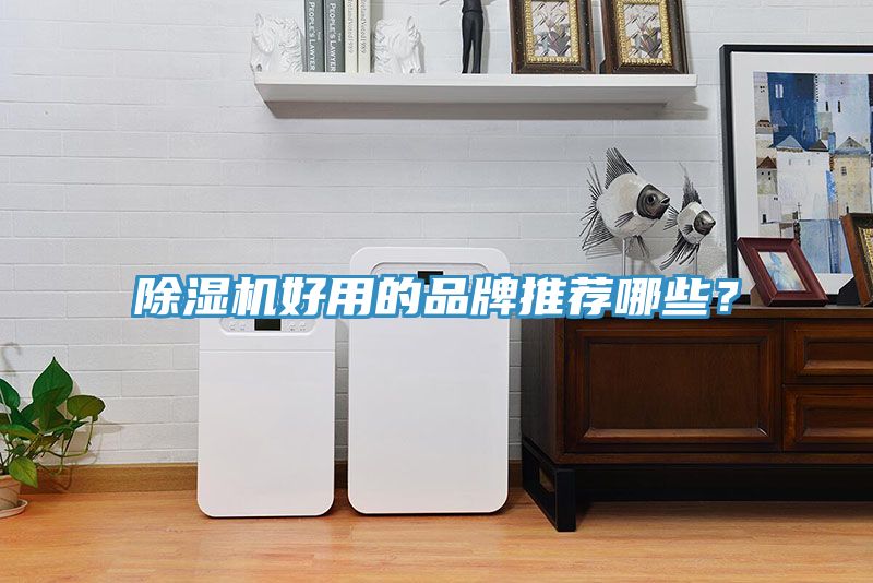 除濕機(jī)好用的品牌推薦哪些？