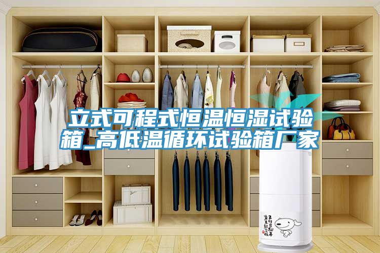 立式可程式恒溫恒濕試驗(yàn)箱_高低溫循環(huán)試驗(yàn)箱廠(chǎng)家