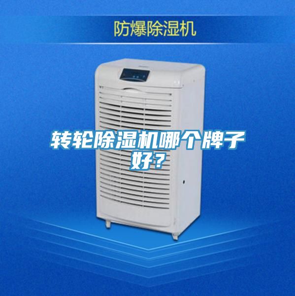 轉(zhuǎn)輪除濕機哪個牌子好？