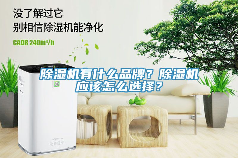 除濕機有什么品牌？除濕機應(yīng)該怎么選擇？