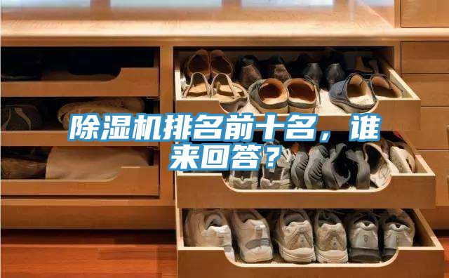 除濕機(jī)排名前十名，誰(shuí)來(lái)回答？