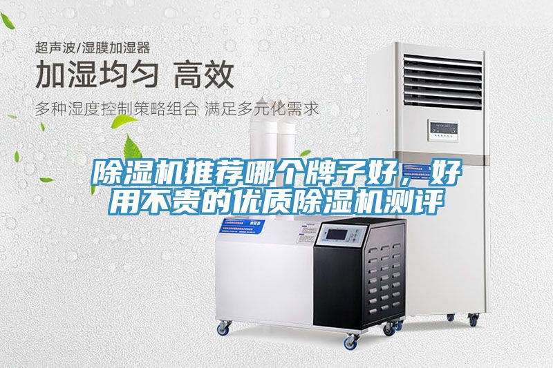 除濕機(jī)推薦哪個牌子好，好用不貴的優(yōu)質(zhì)除濕機(jī)測評