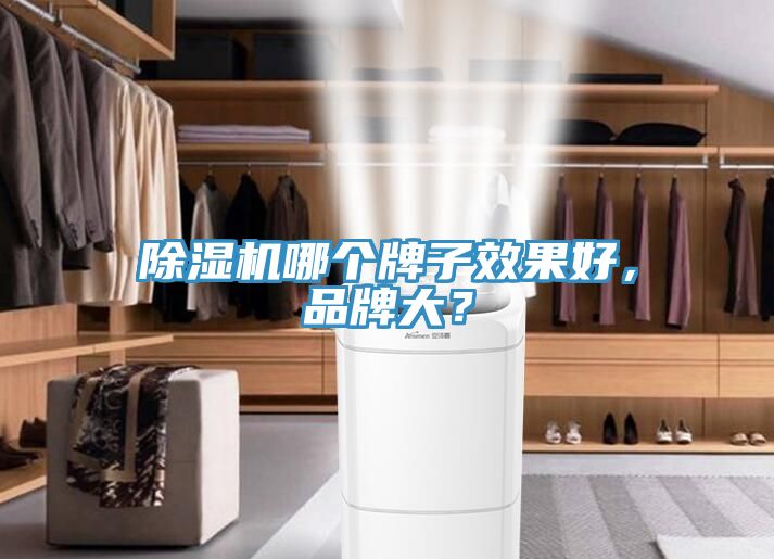 除濕機哪個牌子效果好，品牌大？