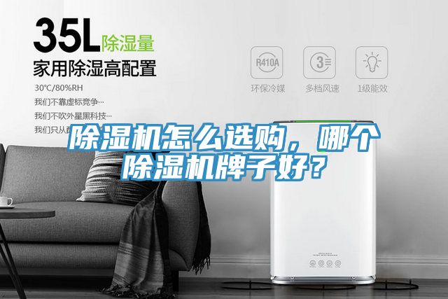 除濕機(jī)怎么選購，哪個(gè)除濕機(jī)牌子好？