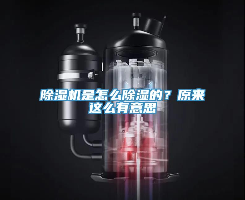 除濕機(jī)是怎么除濕的？原來這么有意思
