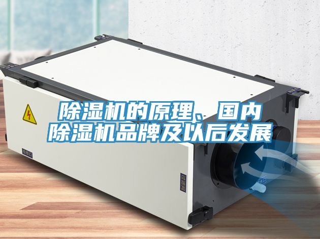 除濕機(jī)的原理、國(guó)內(nèi)除濕機(jī)品牌及以后發(fā)展