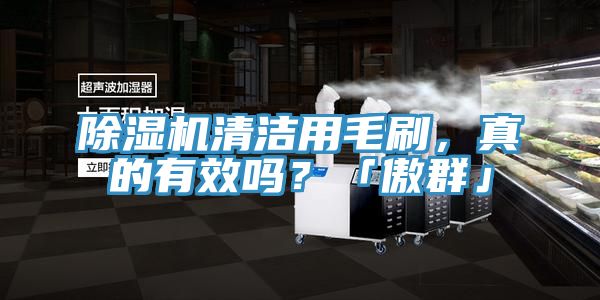 除濕機(jī)清潔用毛刷，真的有效嗎？「傲群」