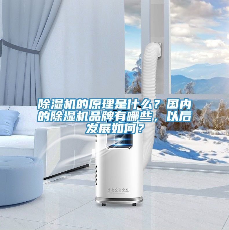 除濕機的原理是什么？國內(nèi)的除濕機品牌有哪些，以后發(fā)展如何？