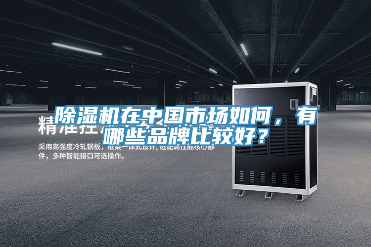 除濕機在中國市場如何，有哪些品牌比較好？
