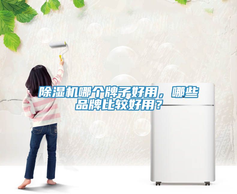 除濕機(jī)哪個(gè)牌子好用，哪些品牌比較好用？