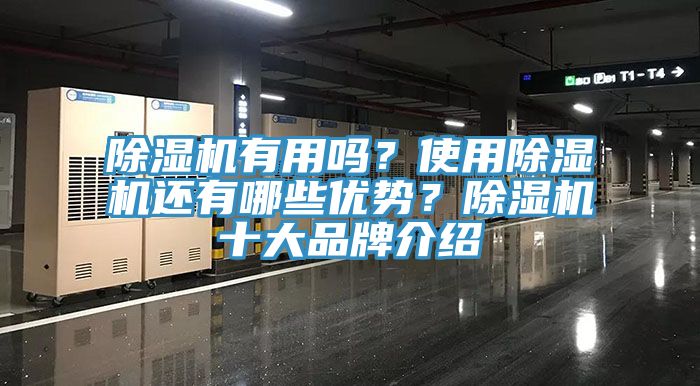 除濕機(jī)有用嗎？使用除濕機(jī)還有哪些優(yōu)勢(shì)？除濕機(jī)十大品牌介紹