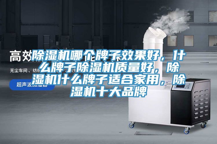 除濕機哪個牌子效果好，什么牌子除濕機質(zhì)量好，除濕機什么牌子適合家用，除濕機十大品牌