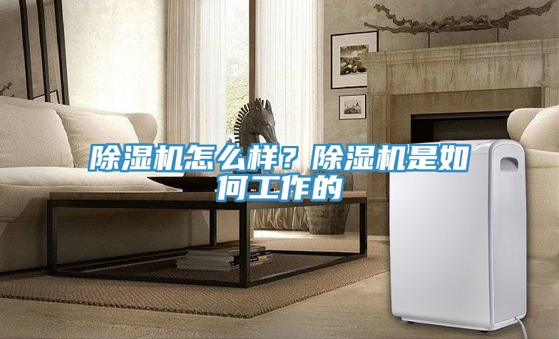 除濕機怎么樣？除濕機是如何工作的