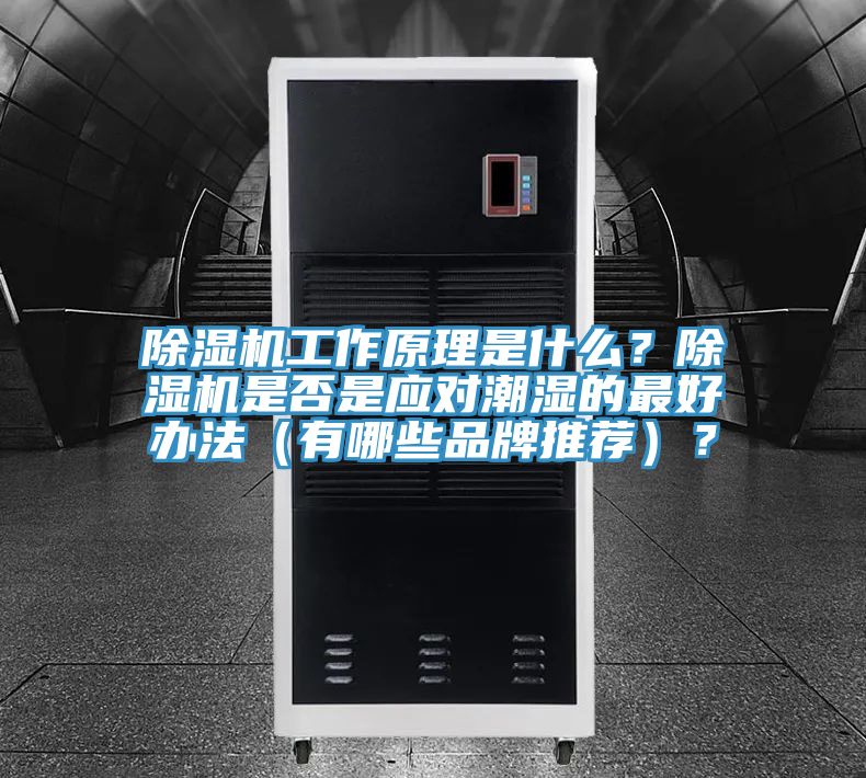 除濕機(jī)工作原理是什么？除濕機(jī)是否是應(yīng)對(duì)潮濕的最好辦法（有哪些品牌推薦）？