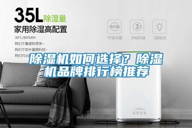除濕機(jī)如何選擇？除濕機(jī)品牌排行榜推薦