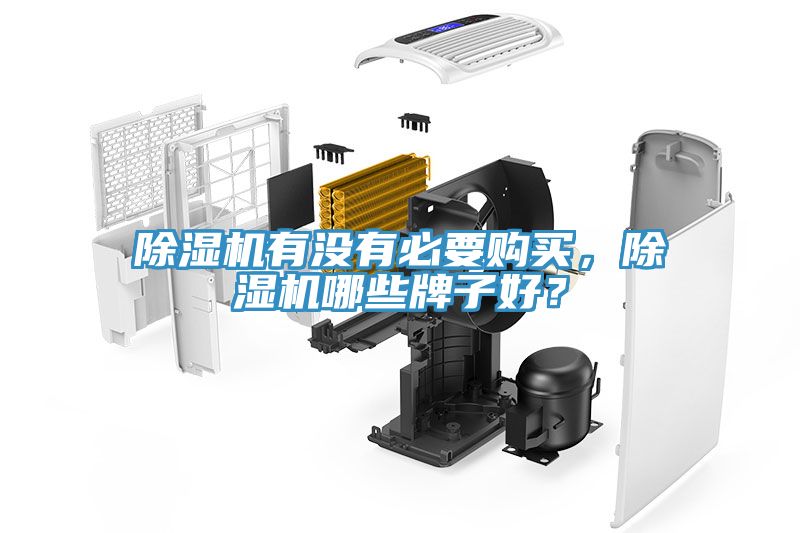 除濕機(jī)有沒(méi)有必要購(gòu)買(mǎi)，除濕機(jī)哪些牌子好？