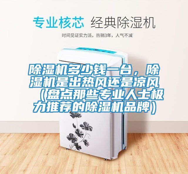 除濕機多少錢一臺，除濕機是出熱風(fēng)還是涼風(fēng)（盤點那些專業(yè)人士極力推薦的除濕機品牌）