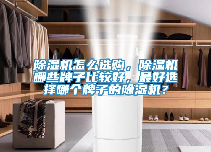 除濕機(jī)怎么選購，除濕機(jī)哪些牌子比較好，最好選擇哪個(gè)牌子的除濕機(jī)？