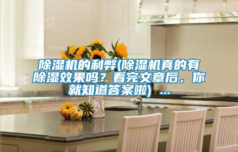 除濕機的利弊(除濕機真的有除濕效果嗎？看完文章后，你就知道答案啦) ...