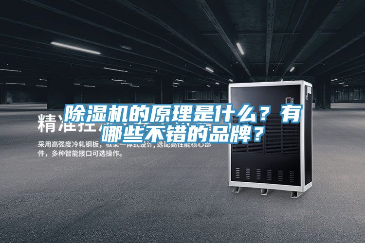 除濕機(jī)的原理是什么？有哪些不錯(cuò)的品牌？