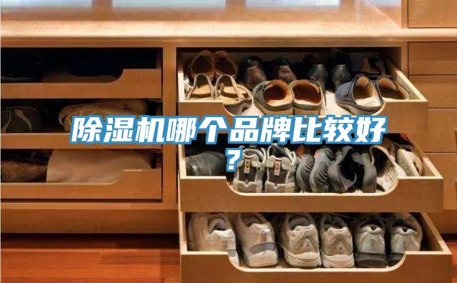 除濕機(jī)哪個品牌比較好？