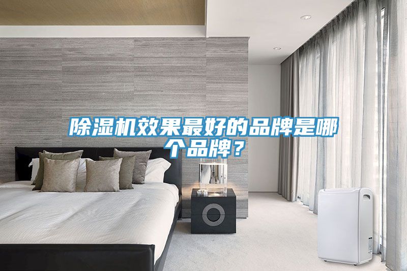 除濕機效果最好的品牌是哪個品牌？