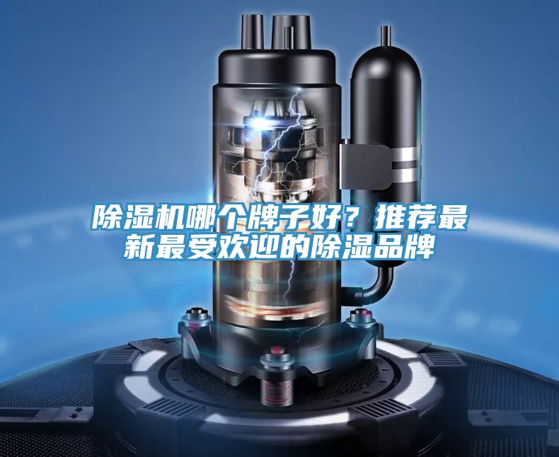 除濕機(jī)哪個(gè)牌子好？推薦最新最受歡迎的除濕品牌