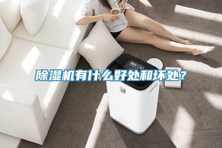 除濕機有什么好處和壞處？