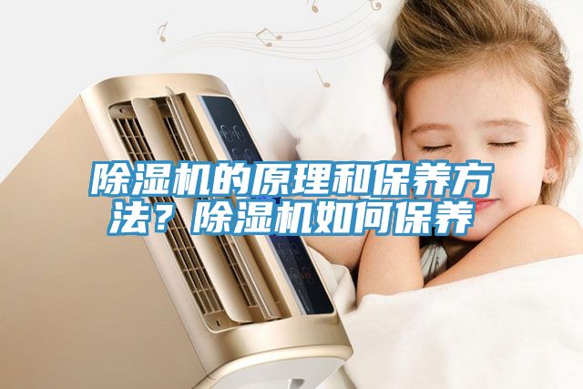 除濕機(jī)的原理和保養(yǎng)方法？除濕機(jī)如何保養(yǎng)