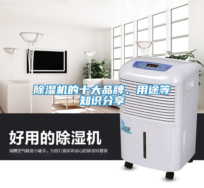 除濕機(jī)的十大品牌、用途等知識(shí)分享