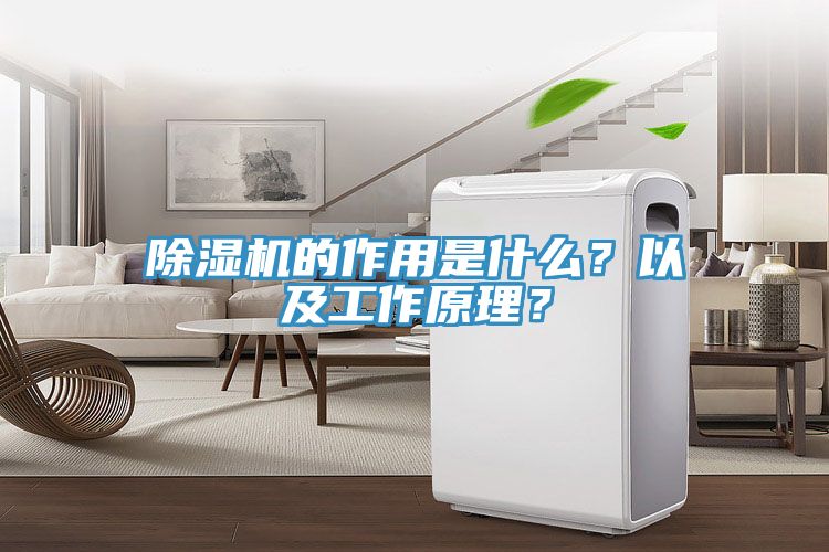 除濕機的作用是什么？以及工作原理？