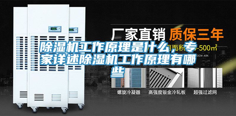 除濕機(jī)工作原理是什么，專家詳述除濕機(jī)工作原理有哪些
