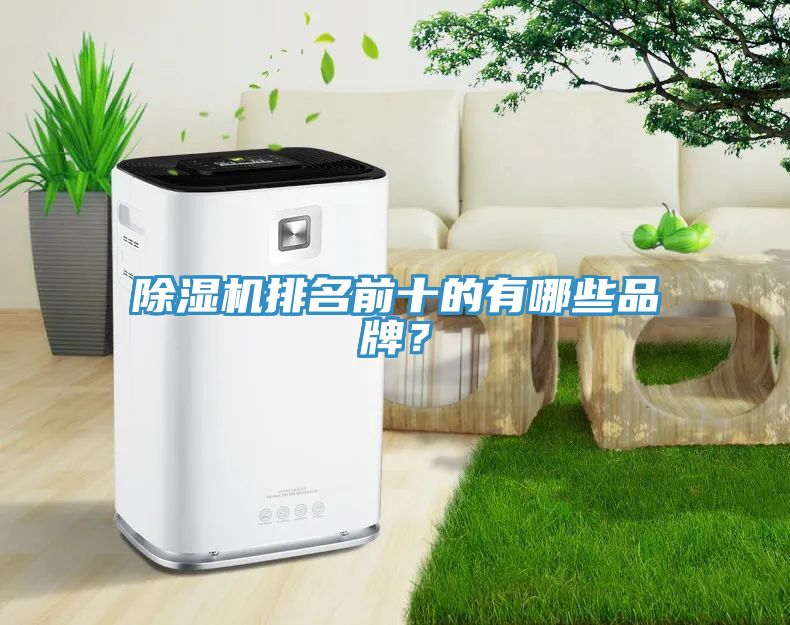 除濕機(jī)排名前十的有哪些品牌？