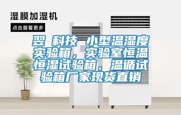 翌昇科技 小型溫濕度實(shí)驗(yàn)箱，實(shí)驗(yàn)室恒溫恒濕試驗(yàn)箱，溫循試驗(yàn)箱廠家現(xiàn)貨直銷