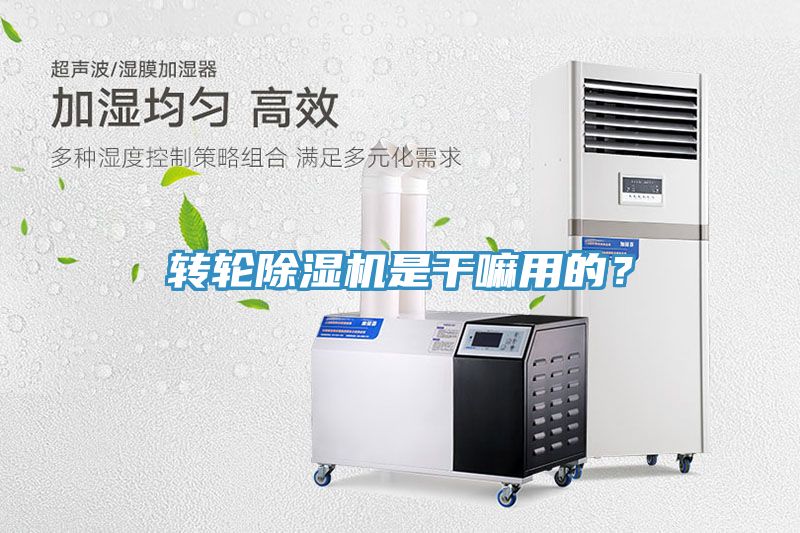 轉(zhuǎn)輪除濕機(jī)是干嘛用的？