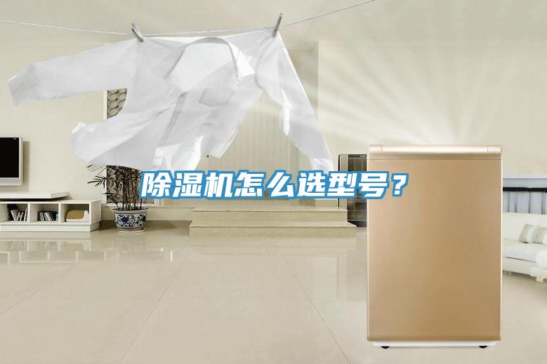 除濕機怎么選型號？
