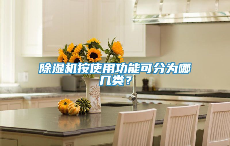 除濕機(jī)按使用功能可分為哪幾類？