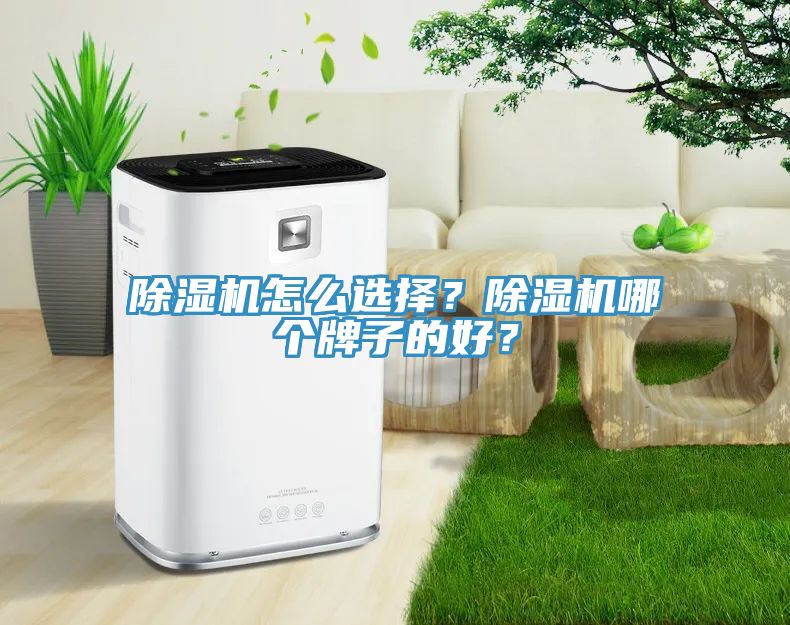 除濕機(jī)怎么選擇？除濕機(jī)哪個(gè)牌子的好？