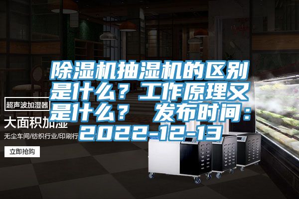 除濕機(jī)抽濕機(jī)的區(qū)別是什么？工作原理又是什么？ 發(fā)布時間：2022-12-13