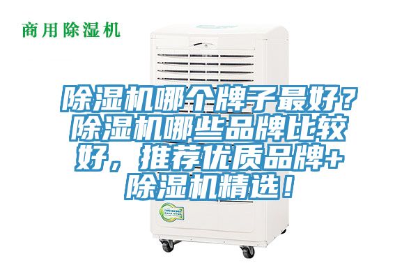 除濕機哪個牌子最好？除濕機哪些品牌比較好，推薦優(yōu)質(zhì)品牌+除濕機精選！